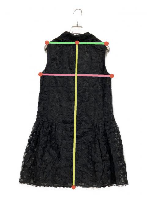 Anna Sui ワンピース サイズ2 中古・古着通販】ANNA SUI (アナスイ) 刺繍ワンピース ブラック サイズ