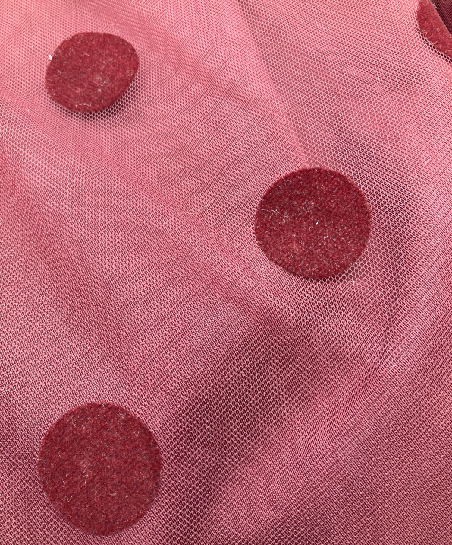 中古・古着通販】AMERI (アメリ) OTONA MUSE DOT TULLE SKIRT ボルドー 中古・古着通販】AMERI (アメリ) OTONA MUSE DOT TULLE SKIRT ボルドー