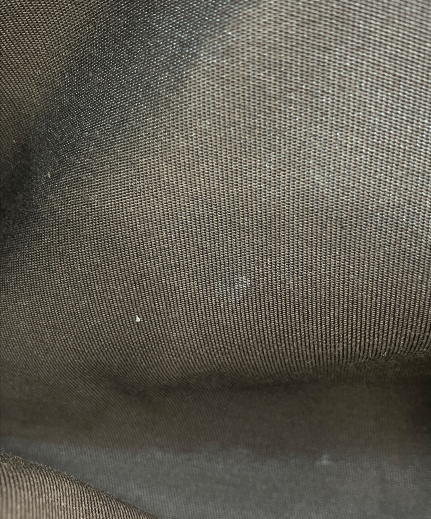 中古・古着通販】GUCCI (グッチ) GGキャンバスウエストバッグ ベージュ