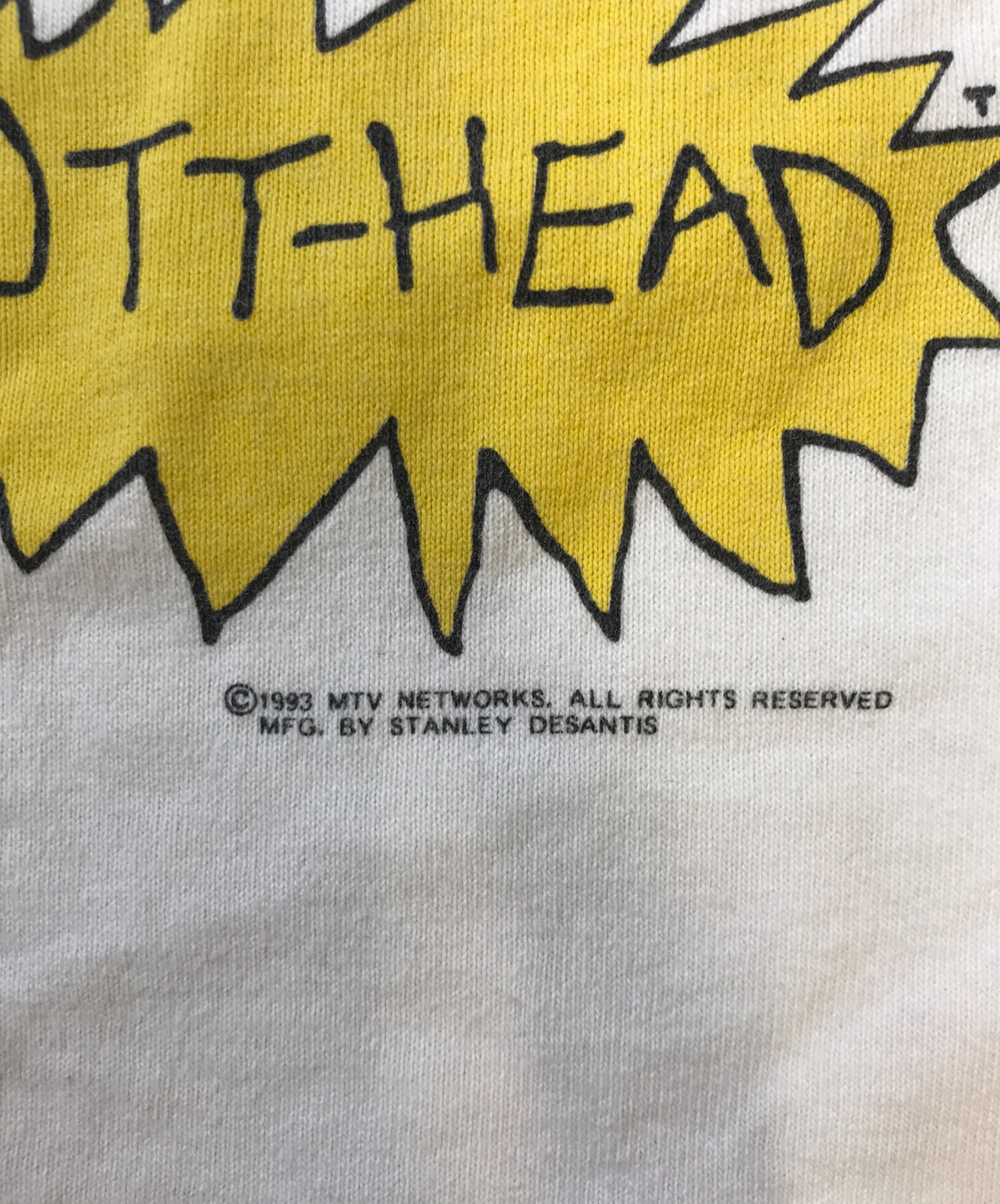 中古・古着通販】STANLEY DESANTIS (スタンリーデサンティス) BEAVIS 