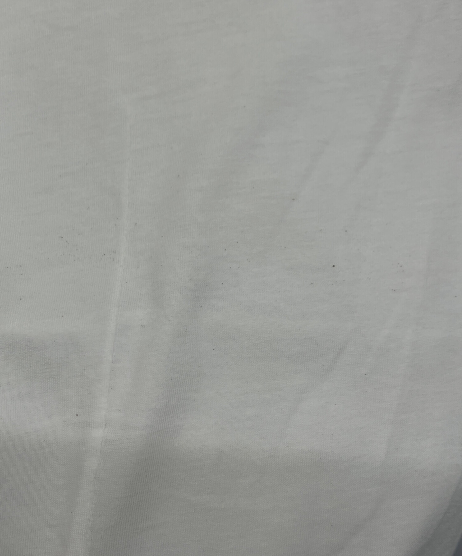 中古・古着通販】HELMUT LANG (ヘルムートラング) バックプリントT 
