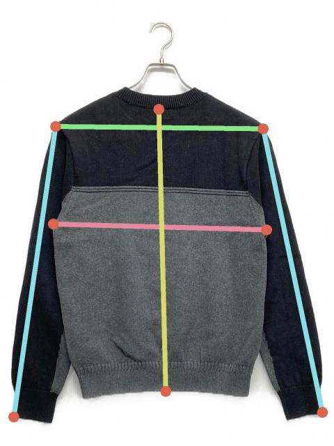 中古・古着通販】Aime Leon Dore (エメ レオン ドレ) バイカラーニット