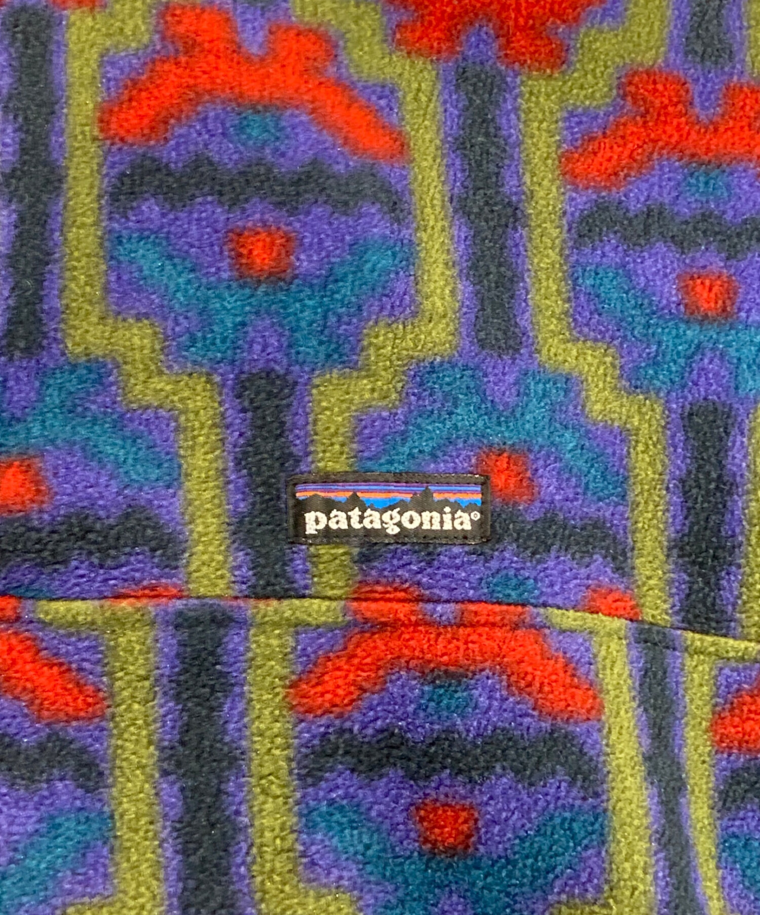 中古・古着通販】Patagonia (パタゴニア) テウェルチェ柄 シンチラ
