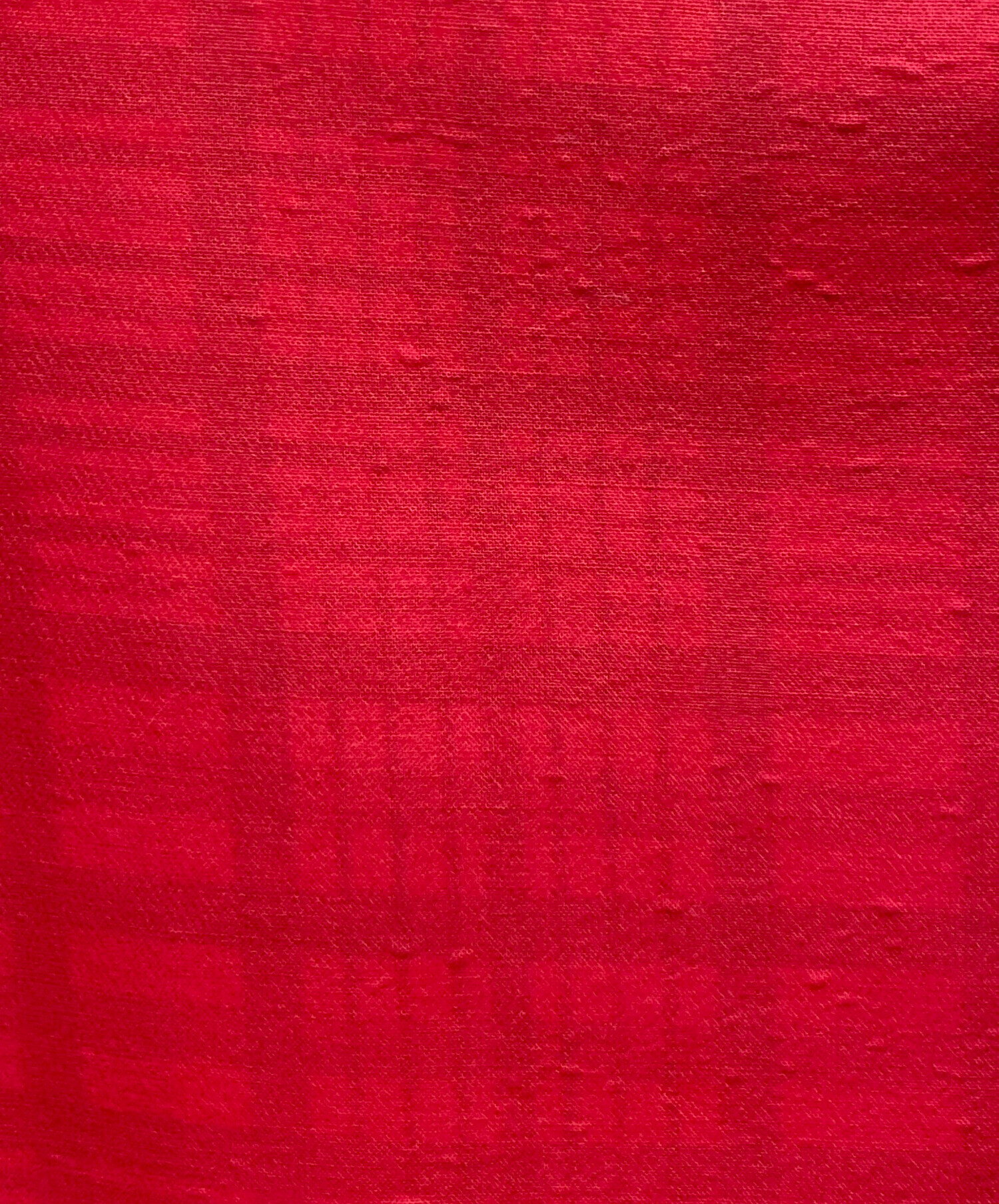 中古・古着通販】CELINE (セリーヌ) チェックゴム引きステンカラー 