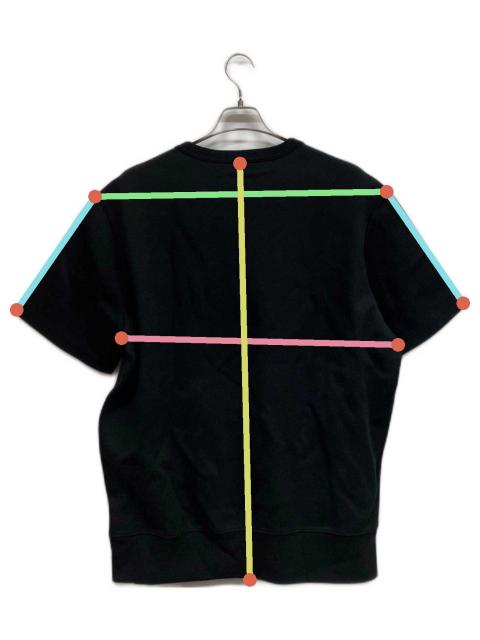 中古・古着通販】POLO RALPH LAUREN (ポロ・ラルフローレン) 半袖