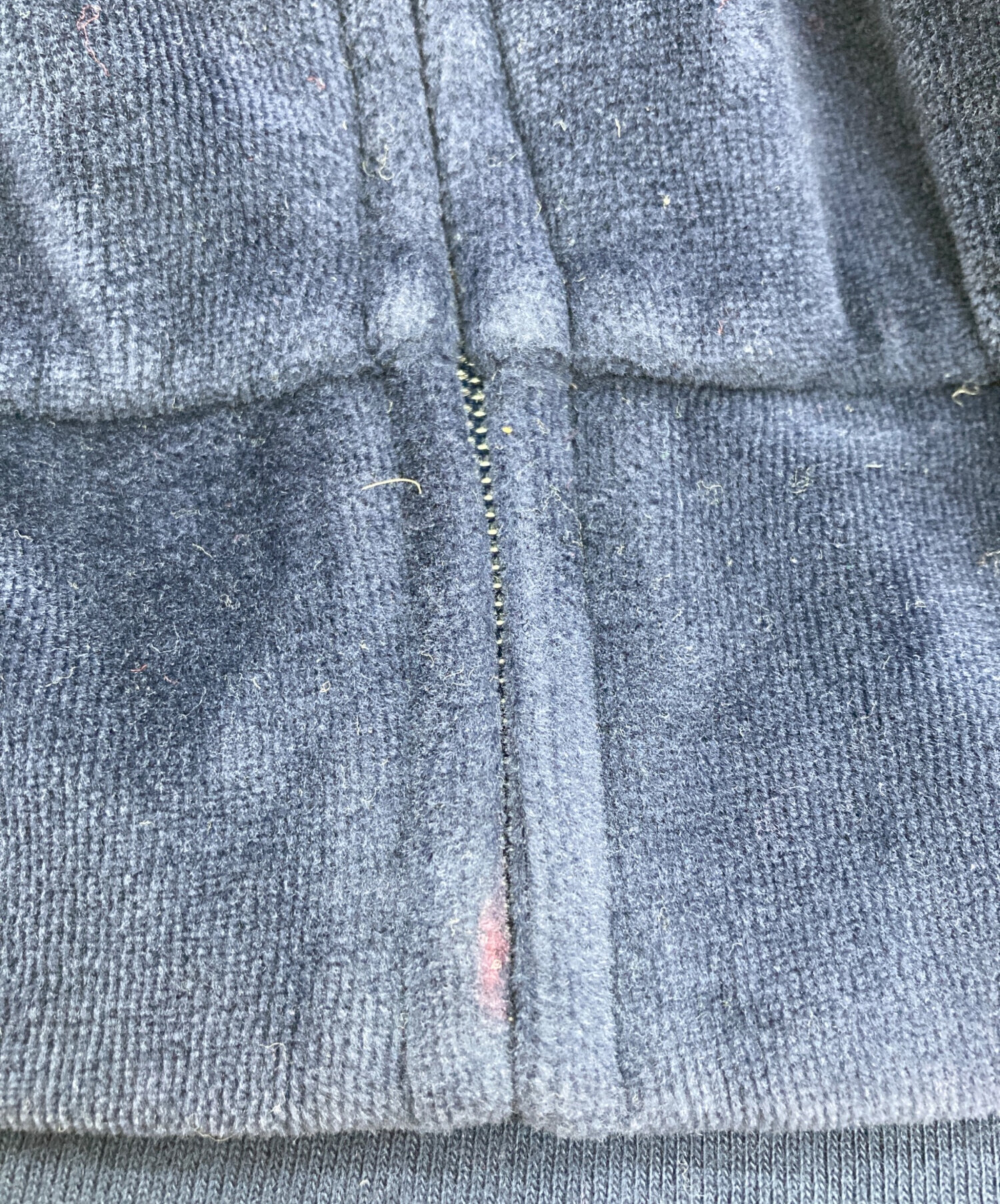 中古・古着通販】POLO RALPH LAUREN (ポロ・ラルフローレン) ベロア