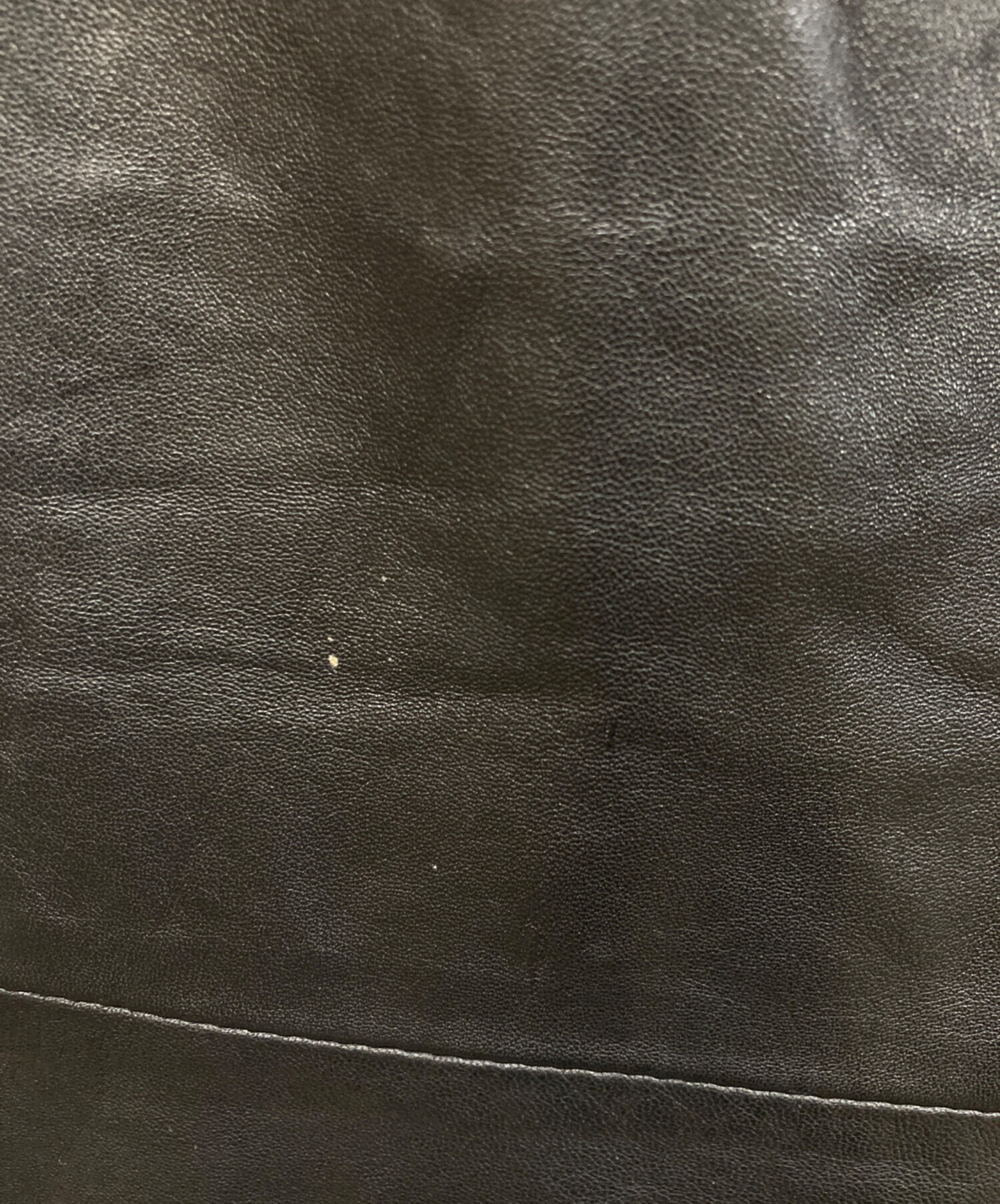 中古・古着通販】ECHTES LEDER (エヒテス レーダァ) レザーパンツ