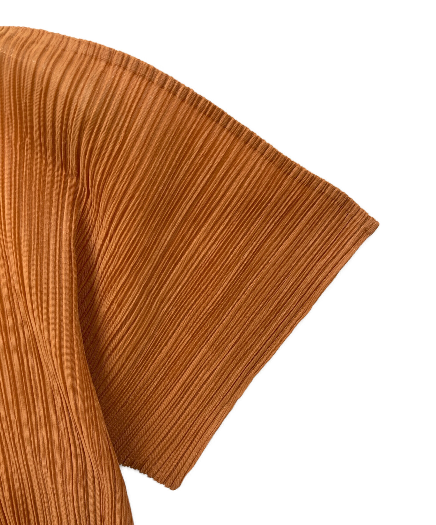ISSEY MIYAKE 凹凸プリーツ カットソー 中古・古着通販】ISSEY MIYAKE (イッセイミヤケ) プリーツカットソー
