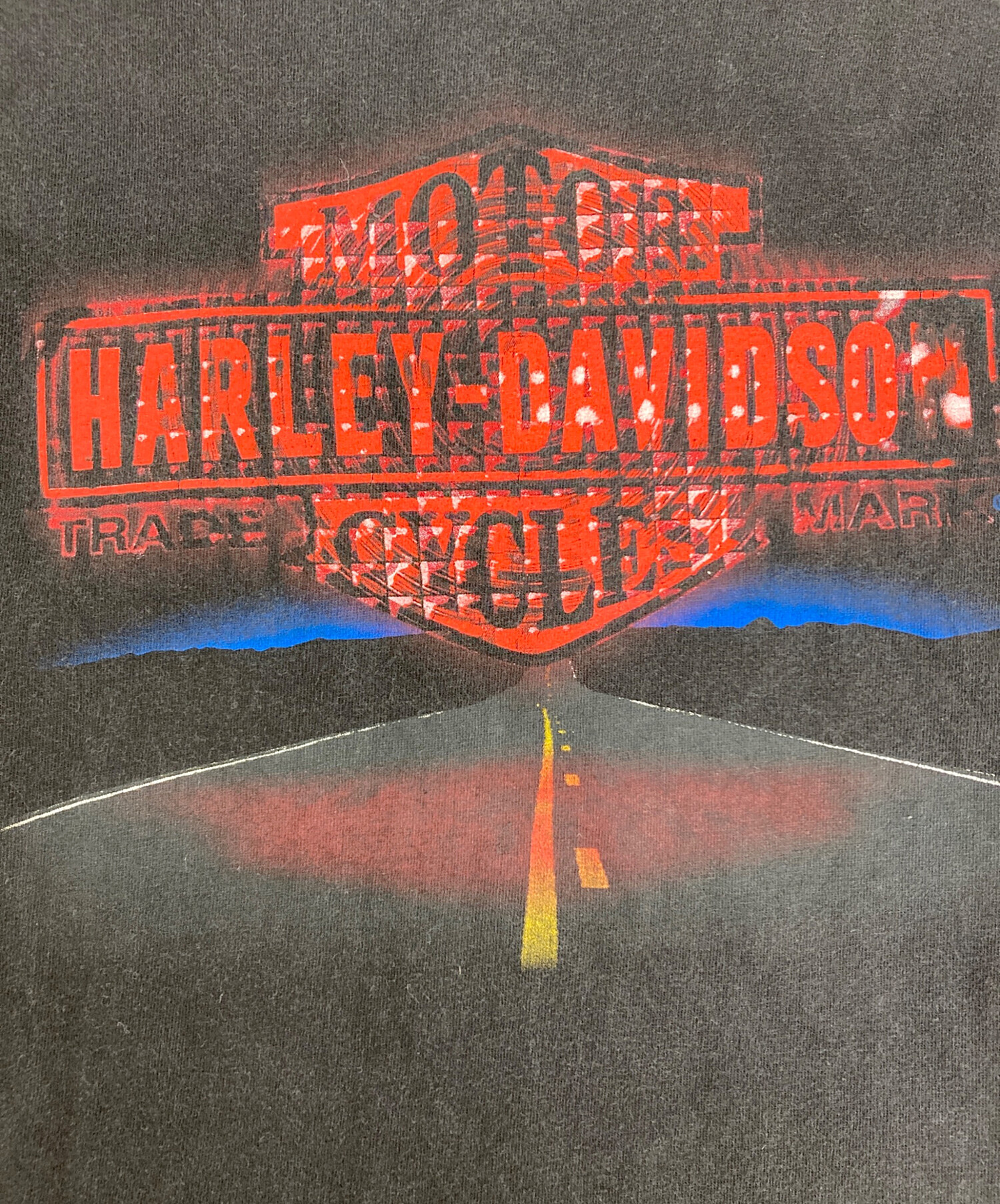 中古・古着通販】HARLEY-DAVIDSON (ハーレーダビッドソン) HOLOUBEK