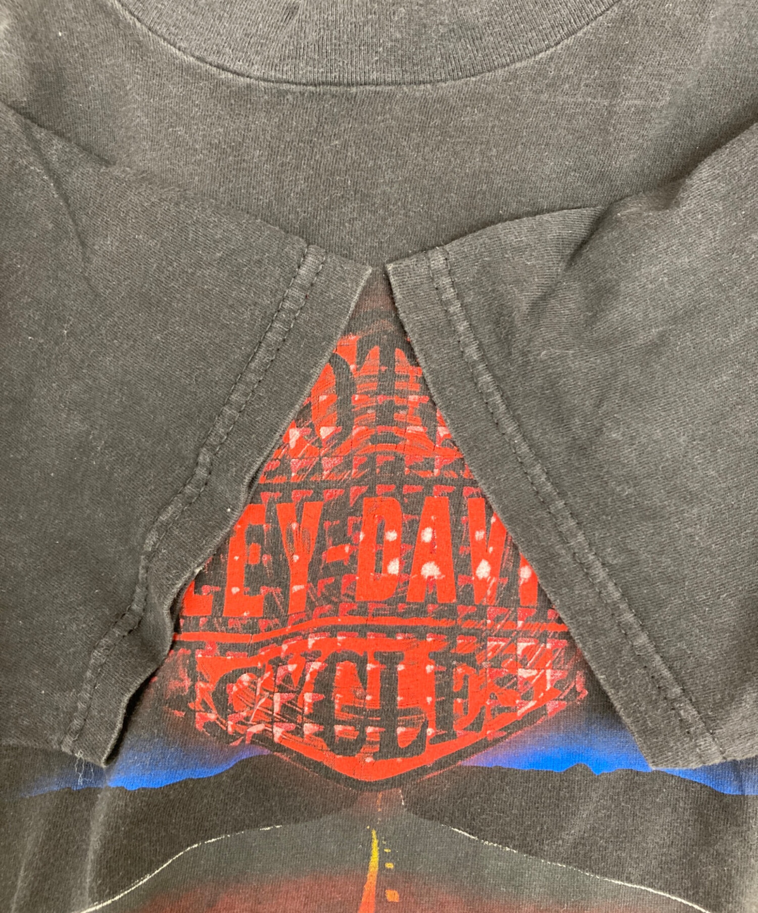 中古・古着通販】HARLEY-DAVIDSON (ハーレーダビッドソン) HOLOUBEK