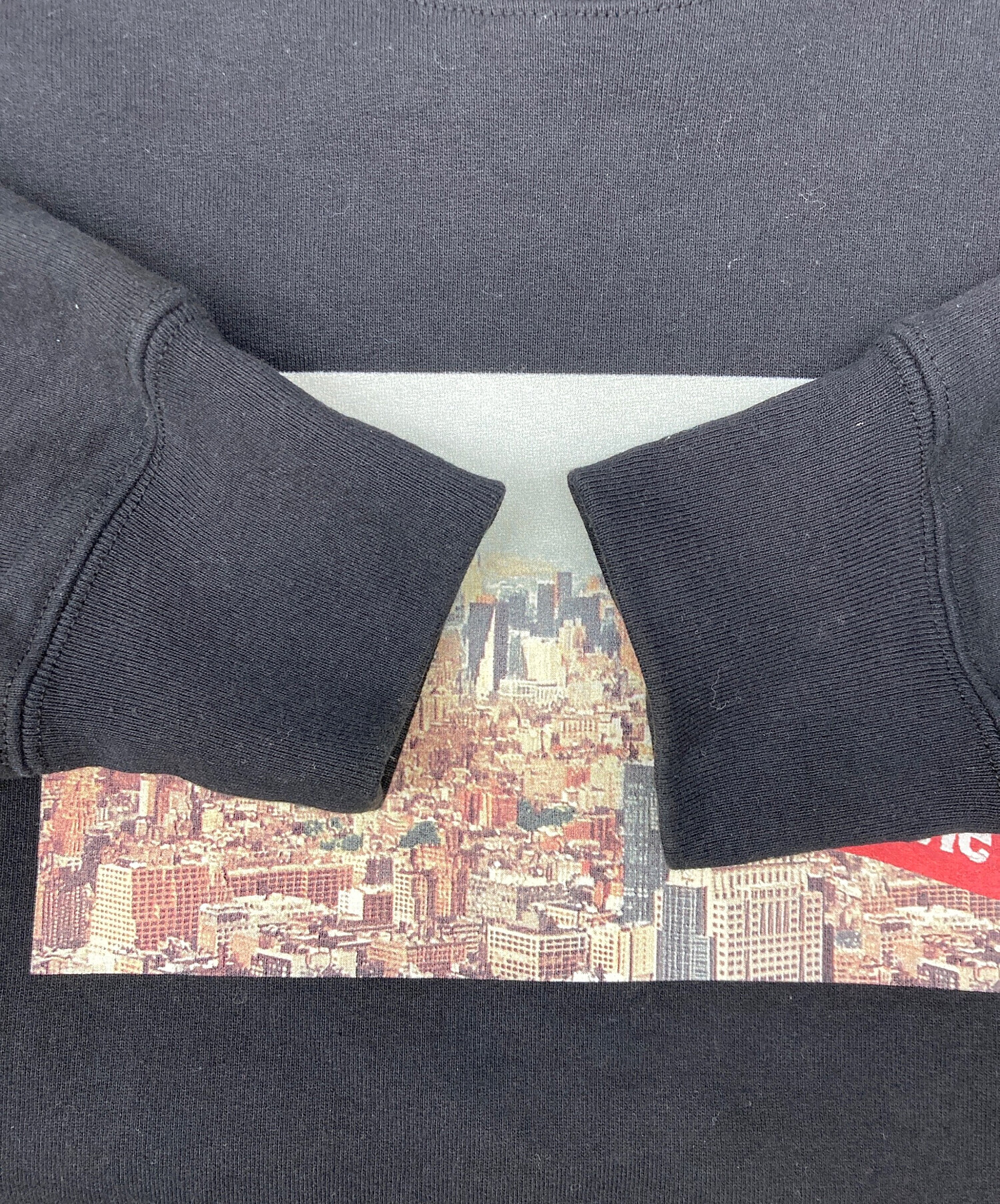 中古・古着通販】SUPREME (シュプリーム) Box Logo Aerial Crewneck 