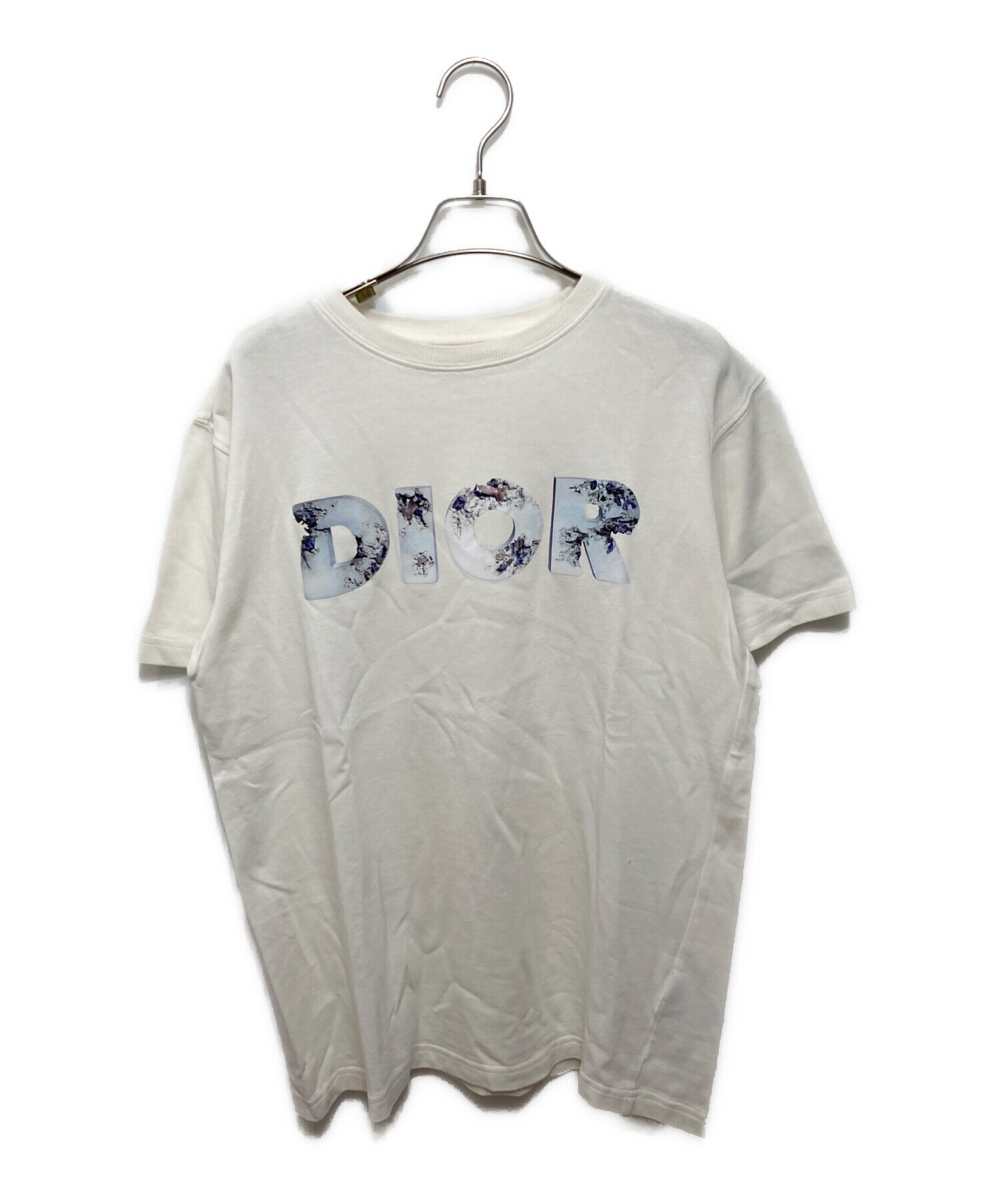 ディオールオム×DANIEL ARSHAM スウェット ロゴプリント L 水色 中古・古着通販】DIOR HOMME (ディオール オム) Daniel Arsham