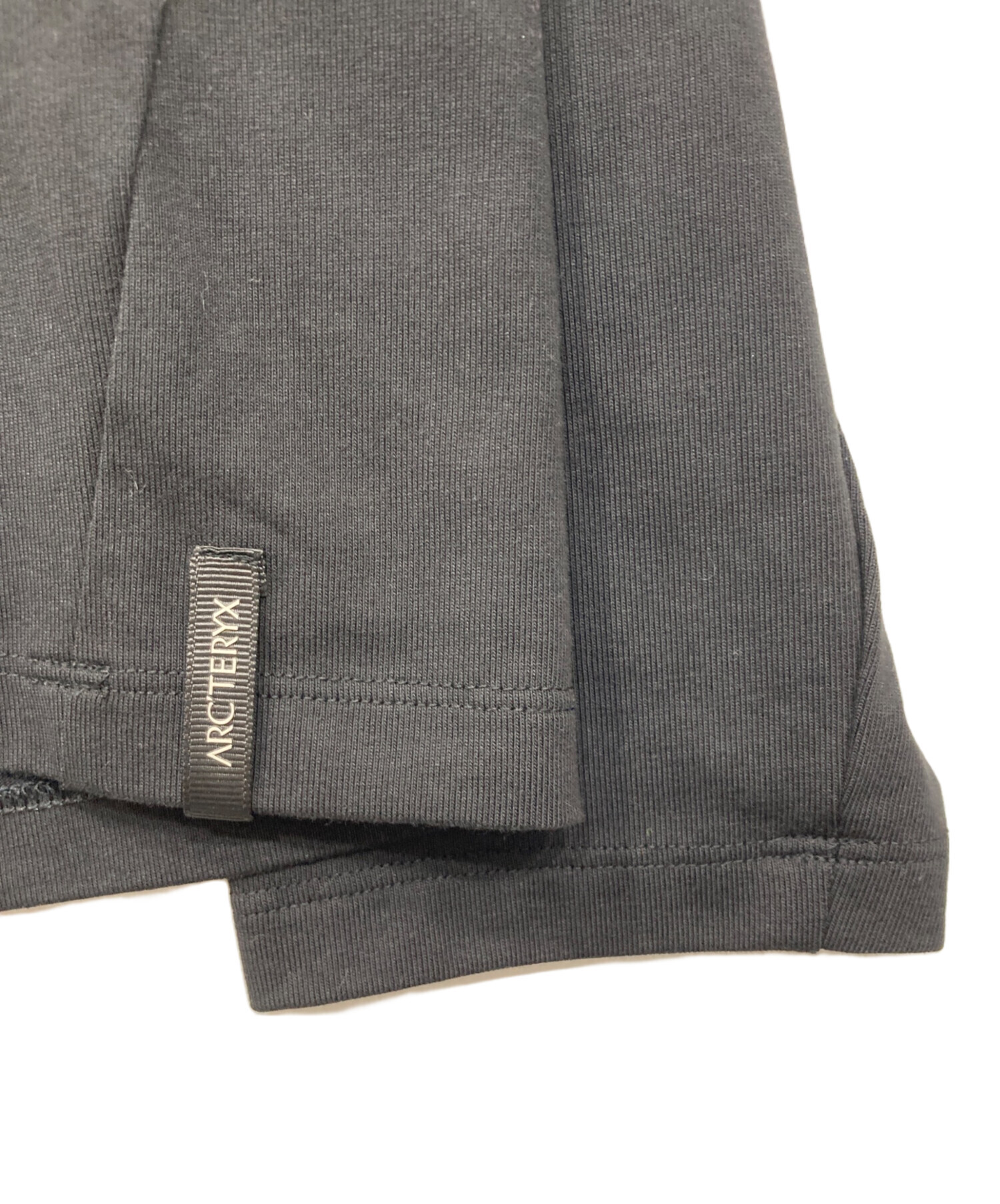 日本売れ済 アークテリクス CAPTIVE ARC WORD LS ブラック Lサイズ 
