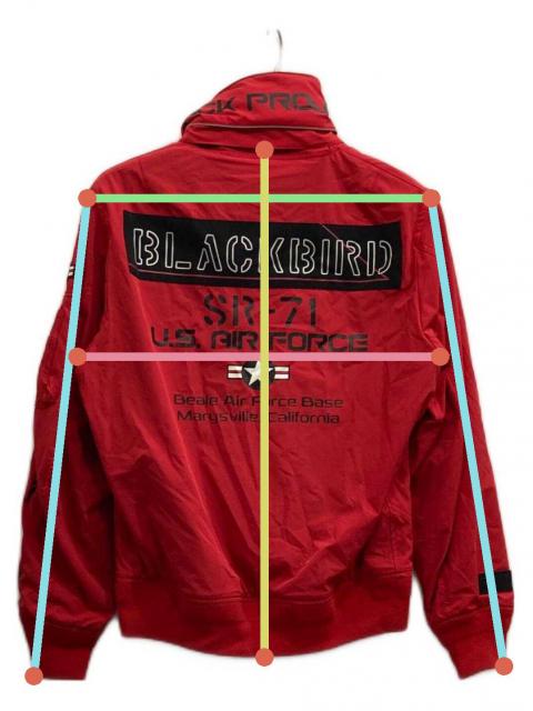 中古・古着通販】AVIREX (アヴィレックス) BLACKBIRD STAND ZIP JKT