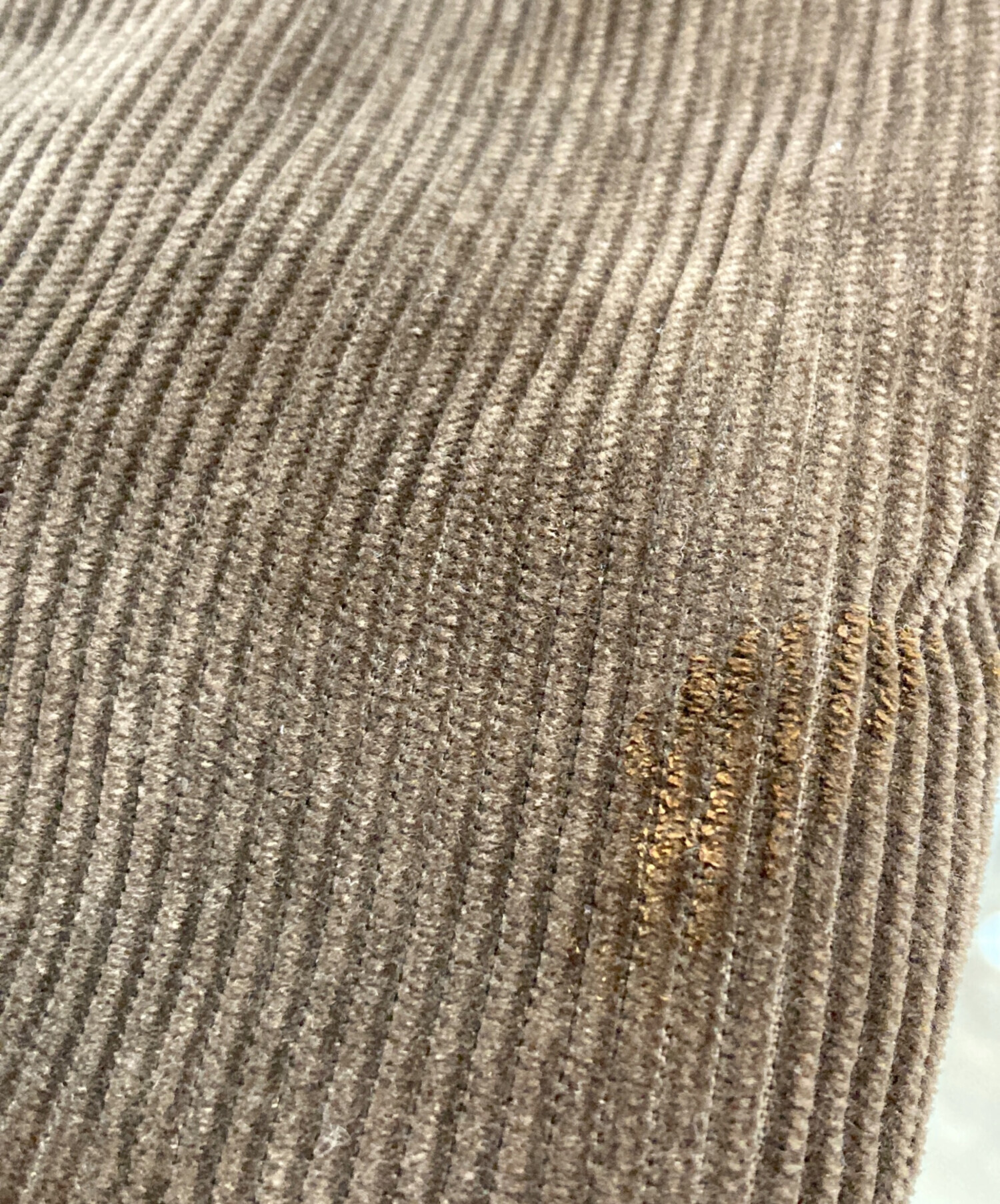 中古・古着通販】DOLCE & GABBANA (ドルチェ＆ガッバーナ) チェック