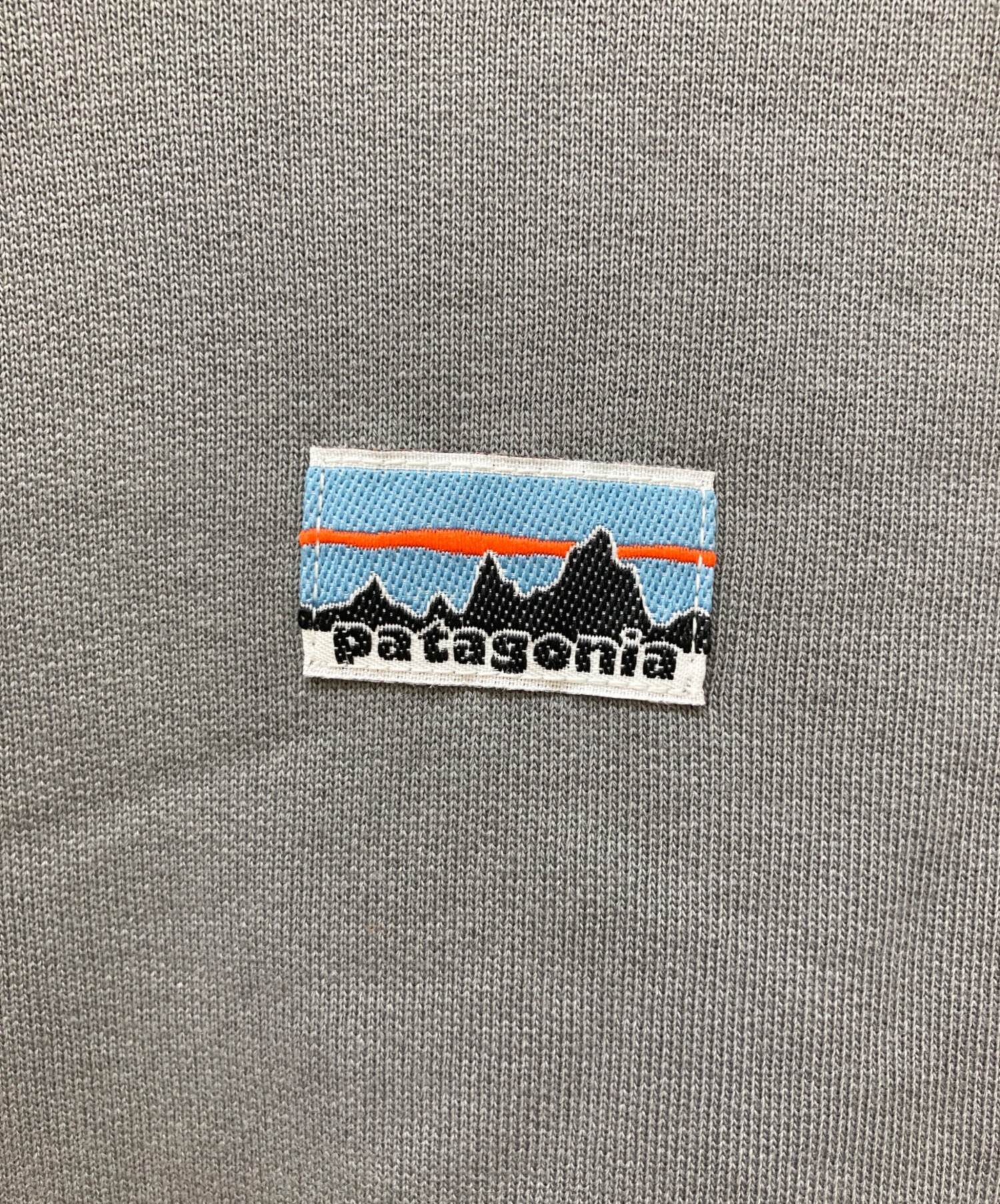 中古・古着通販】Patagonia (パタゴニア) Daily Hoody Sweatshirt