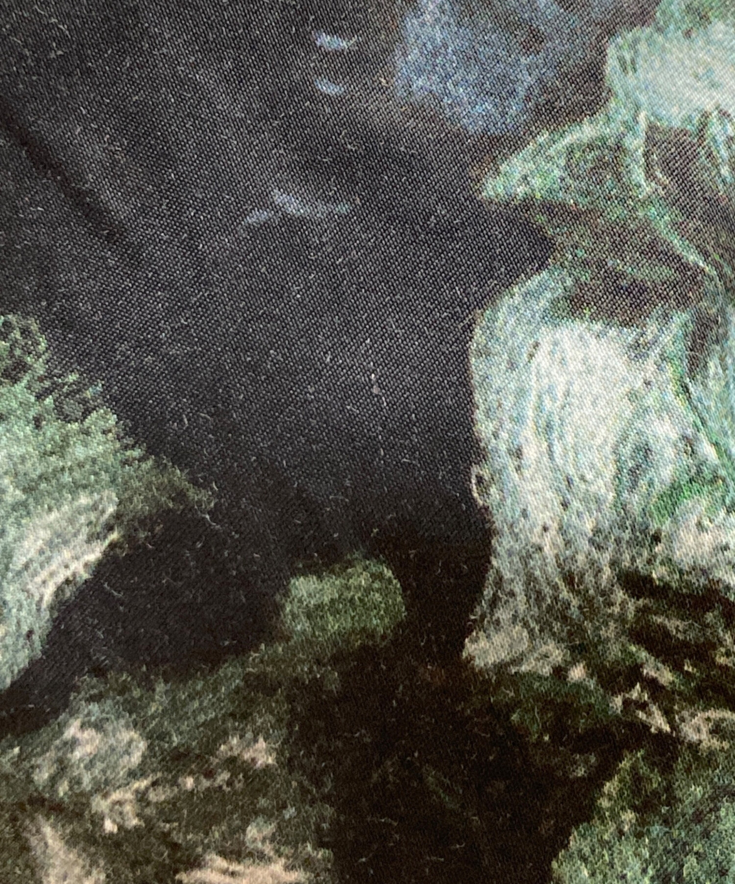 中古・古着通販】LAD MUSICIAN (ラッドミュージシャン) 20AW WIDE