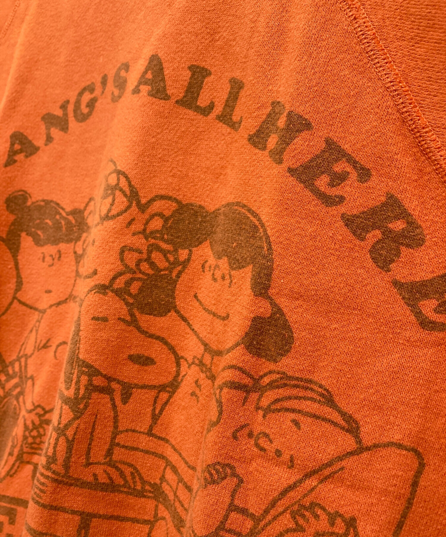 WAREHOUSE ウエアハウス PEANUTS ピーナッツ Tシャツ PIGPEN ピッグペン SNOOPY スヌーピー M 良好 レア WAREHOUSE PEANUTS スウェット スヌーピー ウエアハウス WAREHOUSE