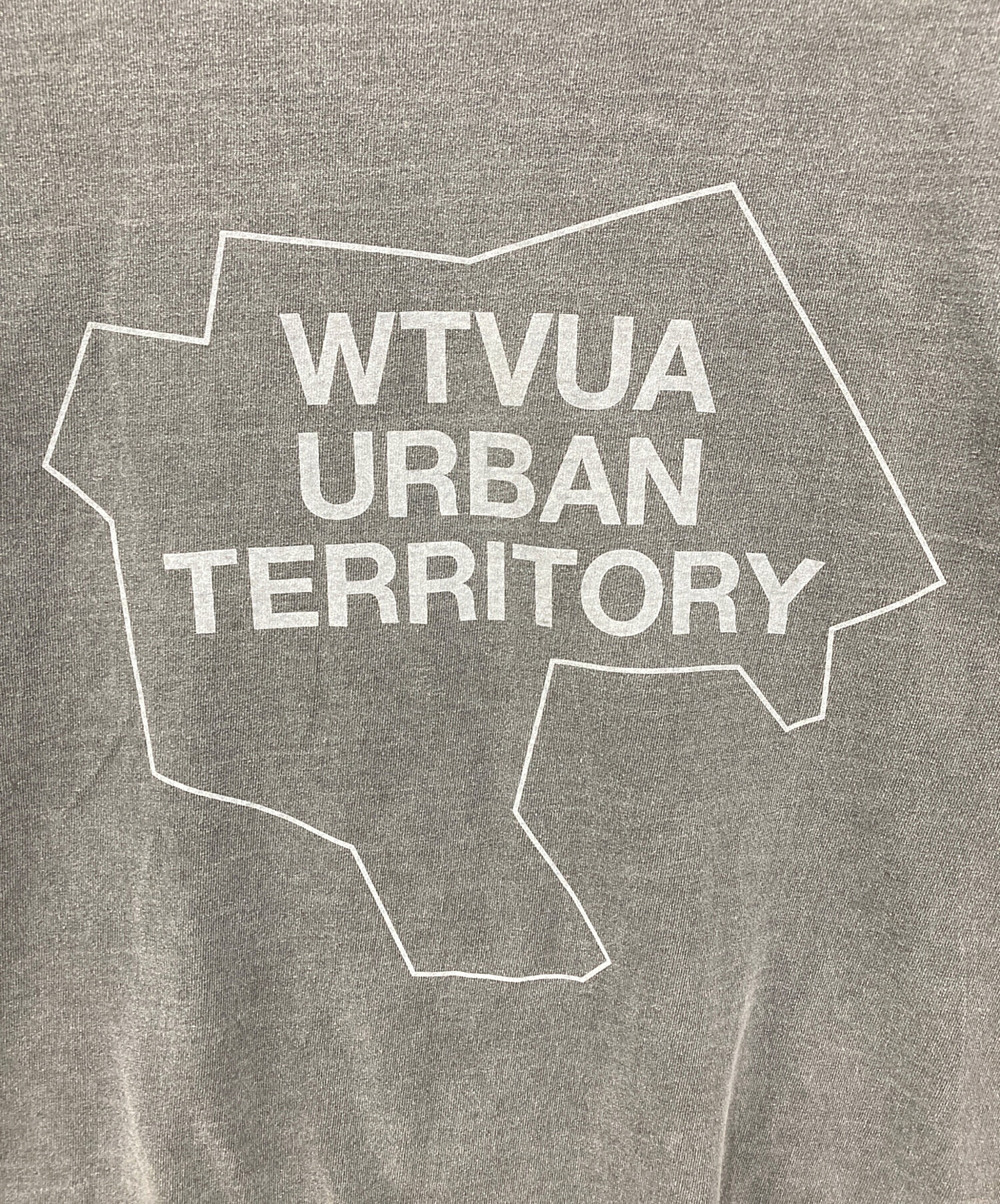 中古・古着通販】WTAPS (ダブルタップス) プリントTシャツ グレー