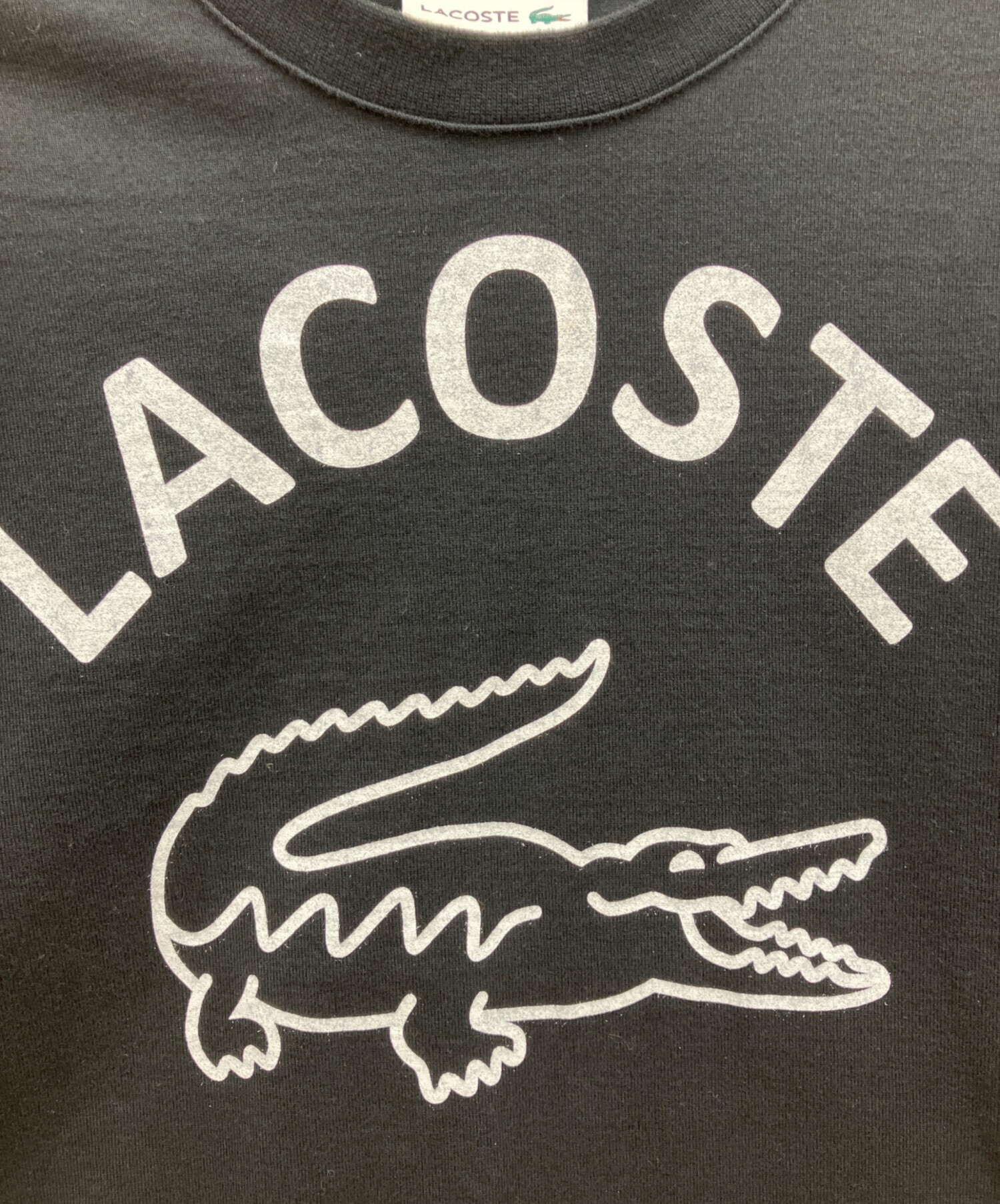 中古・古着通販】LACOSTE (ラコステ) BEAMS (ビームス) 別注 ビッグ