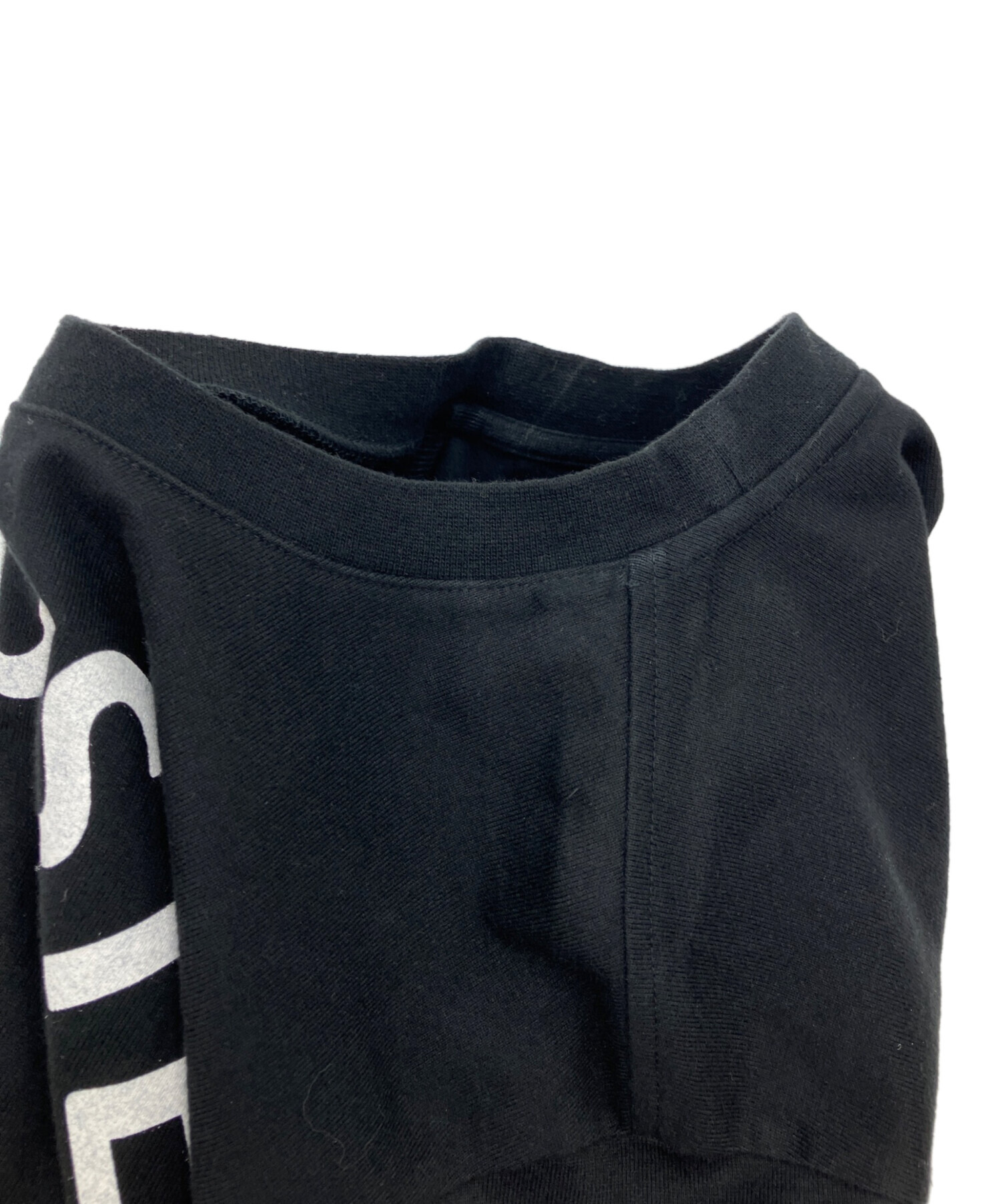 中古・古着通販】LACOSTE (ラコステ) BEAMS (ビームス) 別注 ビッグ