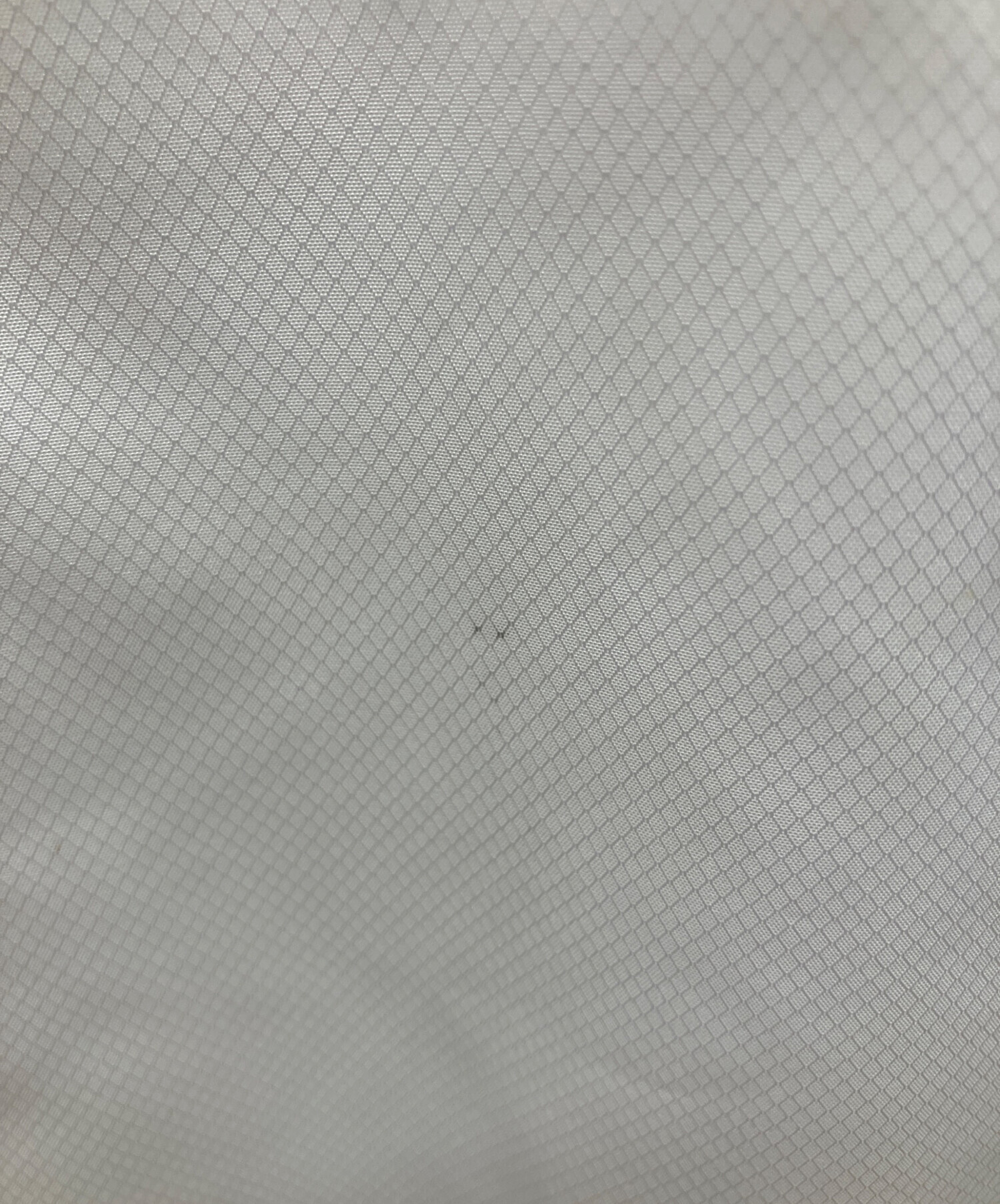 中古・古着通販】SUPREME (シュプリーム) LACOSTE LIVE (ラコステ 