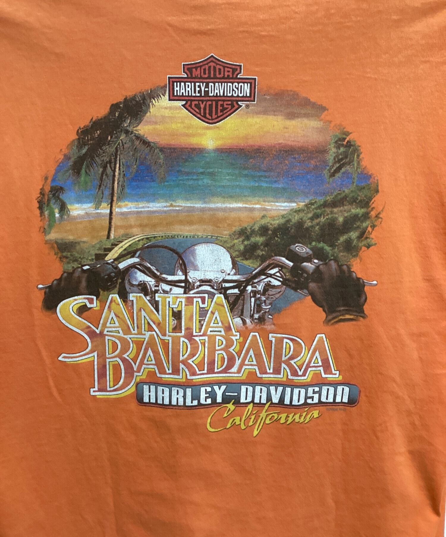 中古・古着通販】HARLEY-DAVIDSON (ハーレーダビッドソン) 袖フレイム