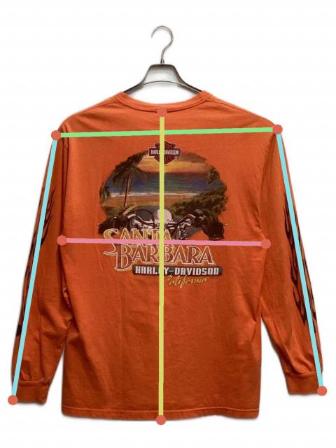 中古・古着通販】HARLEY-DAVIDSON (ハーレーダビッドソン) 袖フレイム