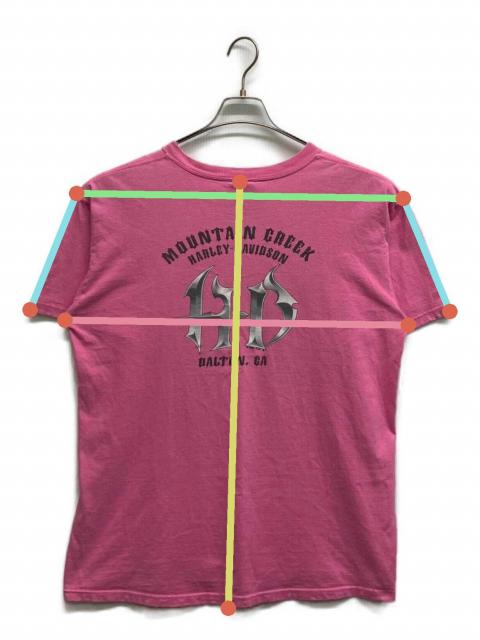 M*O様 CBDD ハーレー Tシャツ - ダビッドソン z 羽 ピンク ビンテ 中古・古着通販】HARLEY-DAVIDSON (ハーレーダビッドソン) プリントT