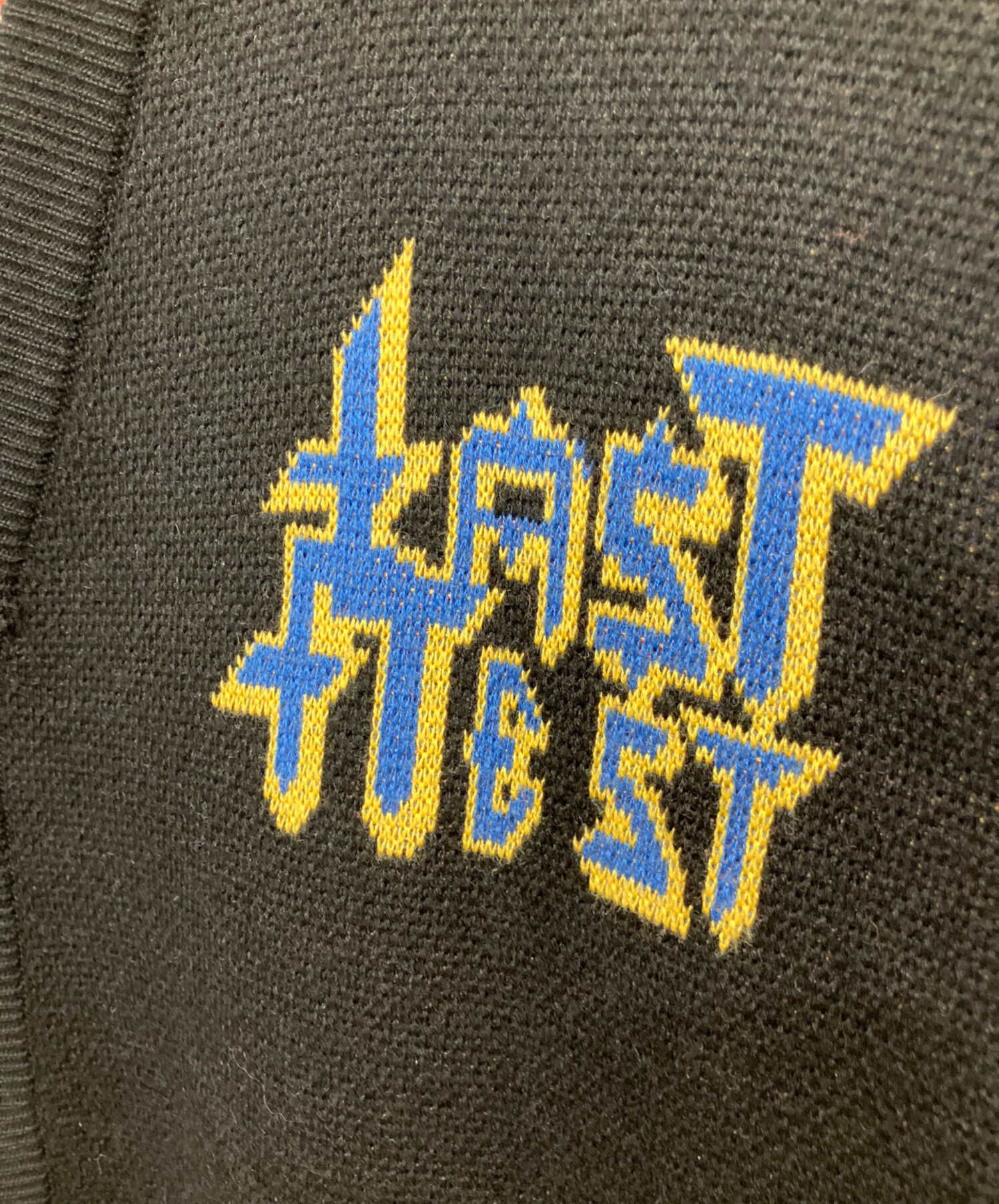 中古・古着通販】LAST NEST (ラストネスト) バックジャガード