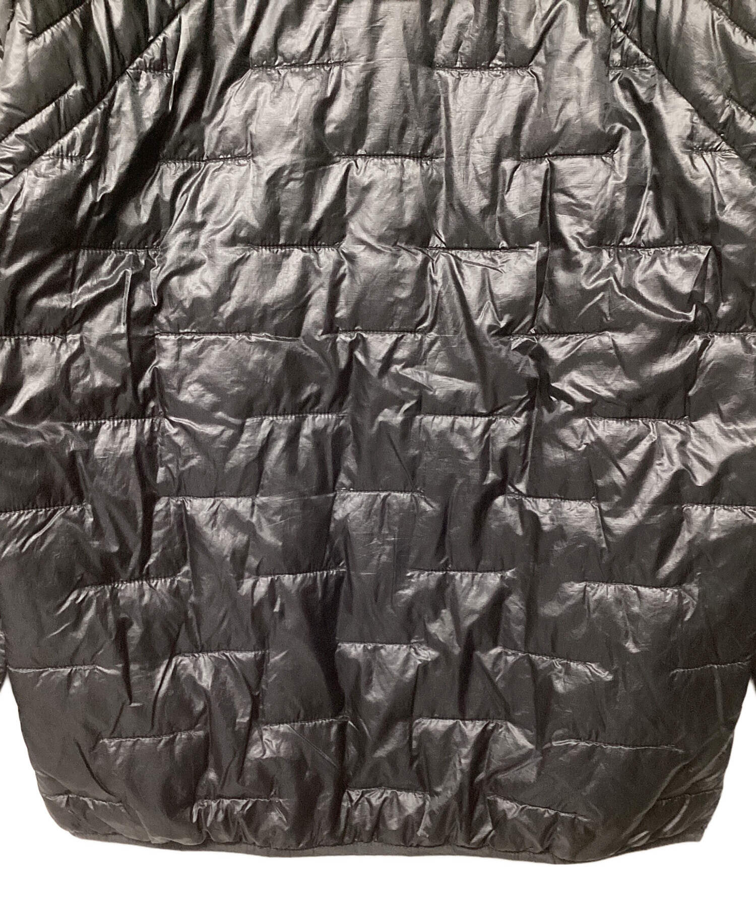 中古・古着通販】Patagonia (パタゴニア) メンズ・マイクロ・パフ