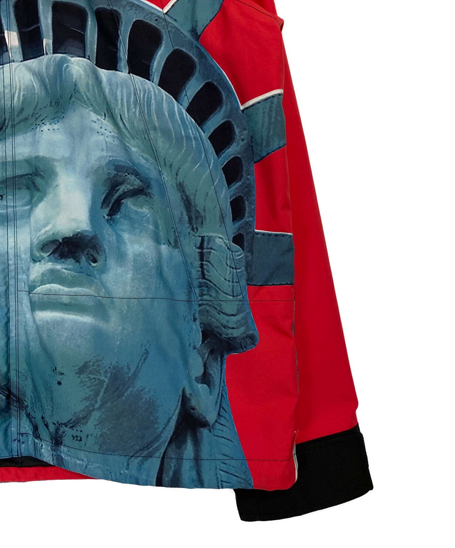 中古・古着通販】SUPREME (シュプリーム) THE NORTH FACE (ザ ノース 