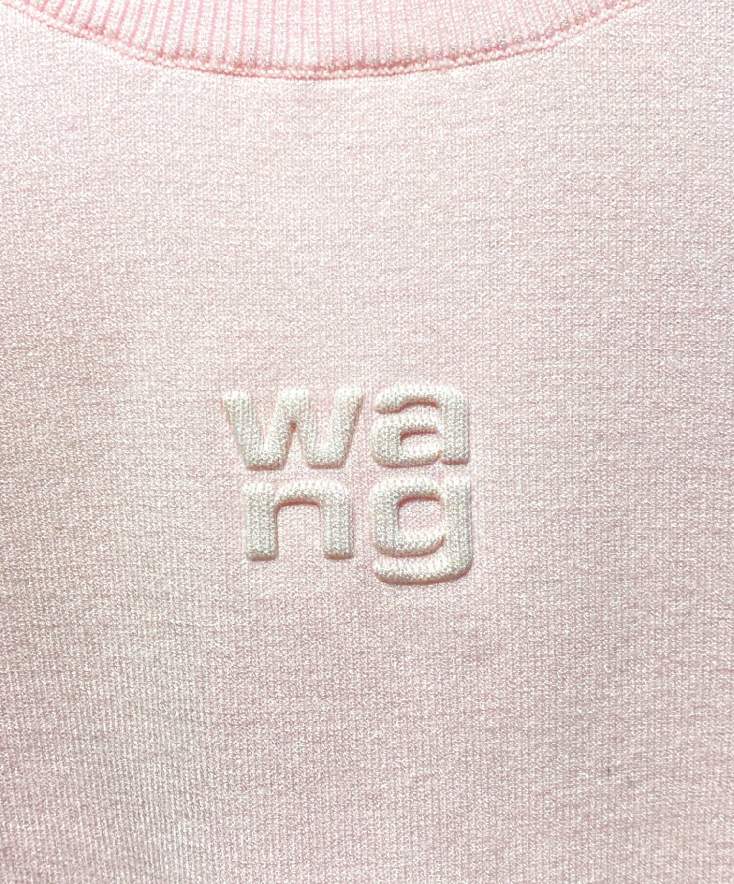 中古・古着通販】ALEXANDER WANG.T (アレキサンダーワンティー