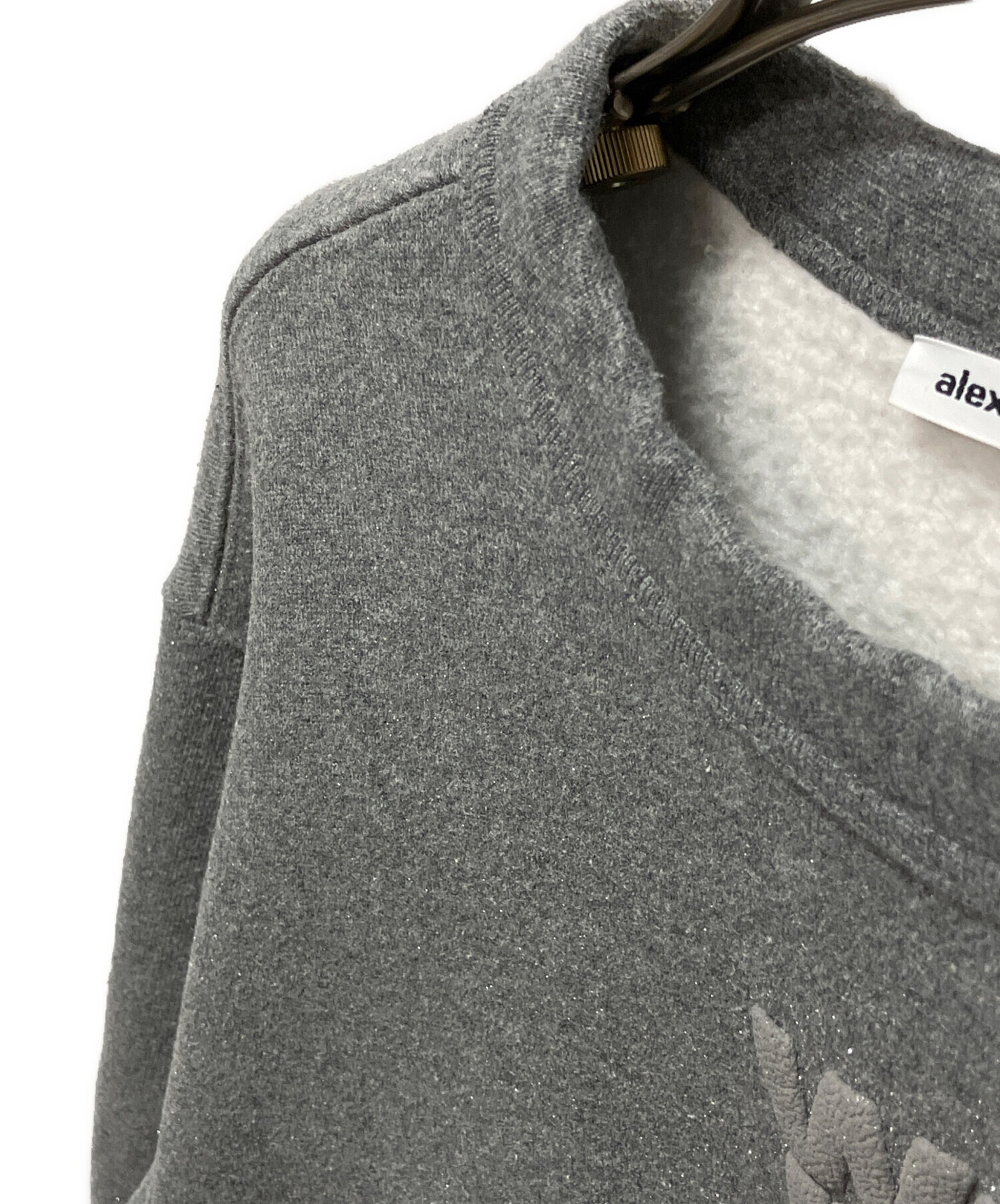 中古・古着通販】ALEXANDER WANG (アレキサンダーワン) グリッター 