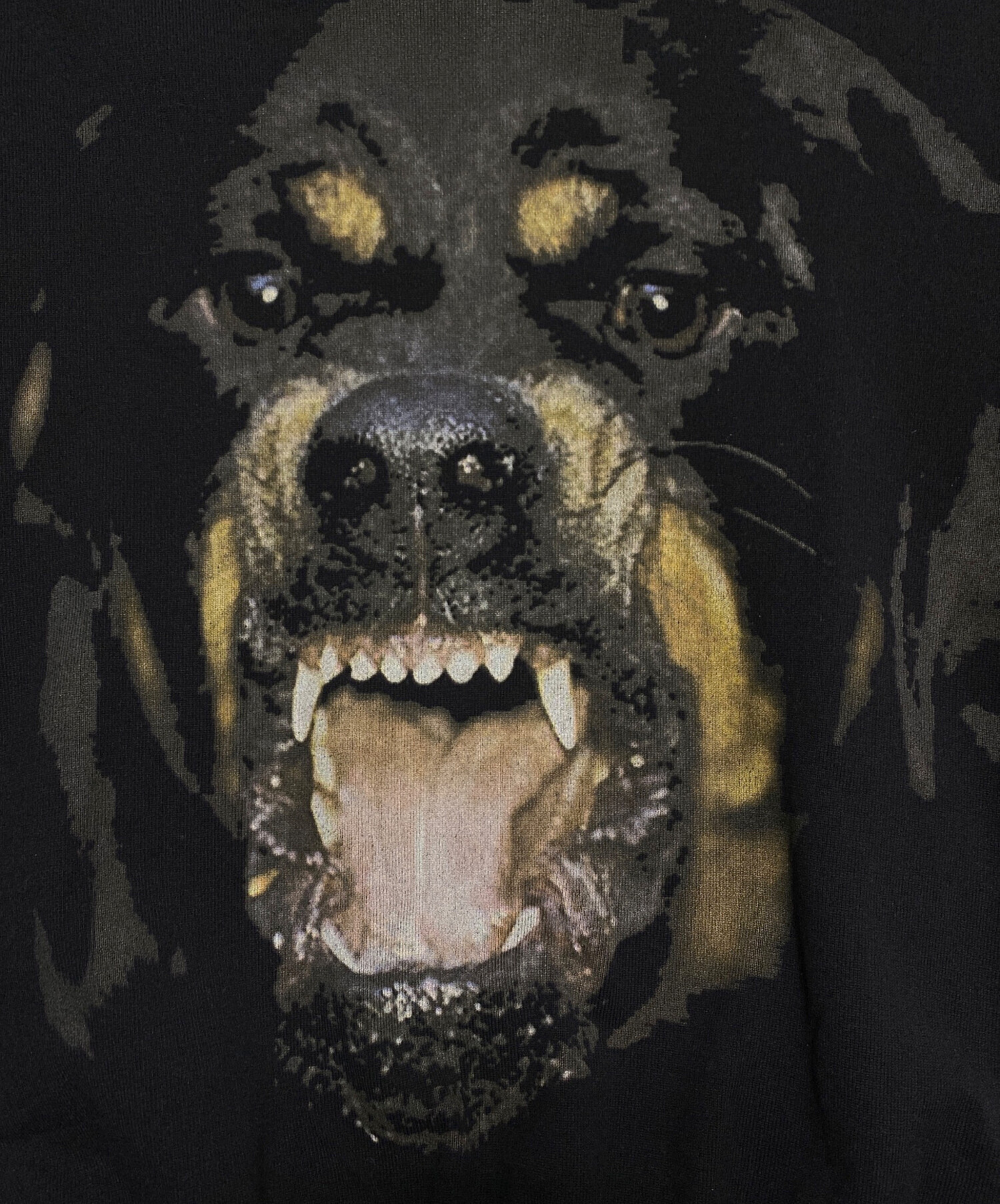 中古・古着通販】GIVENCHY (ジバンシィ) ロットワイラーコットンニット