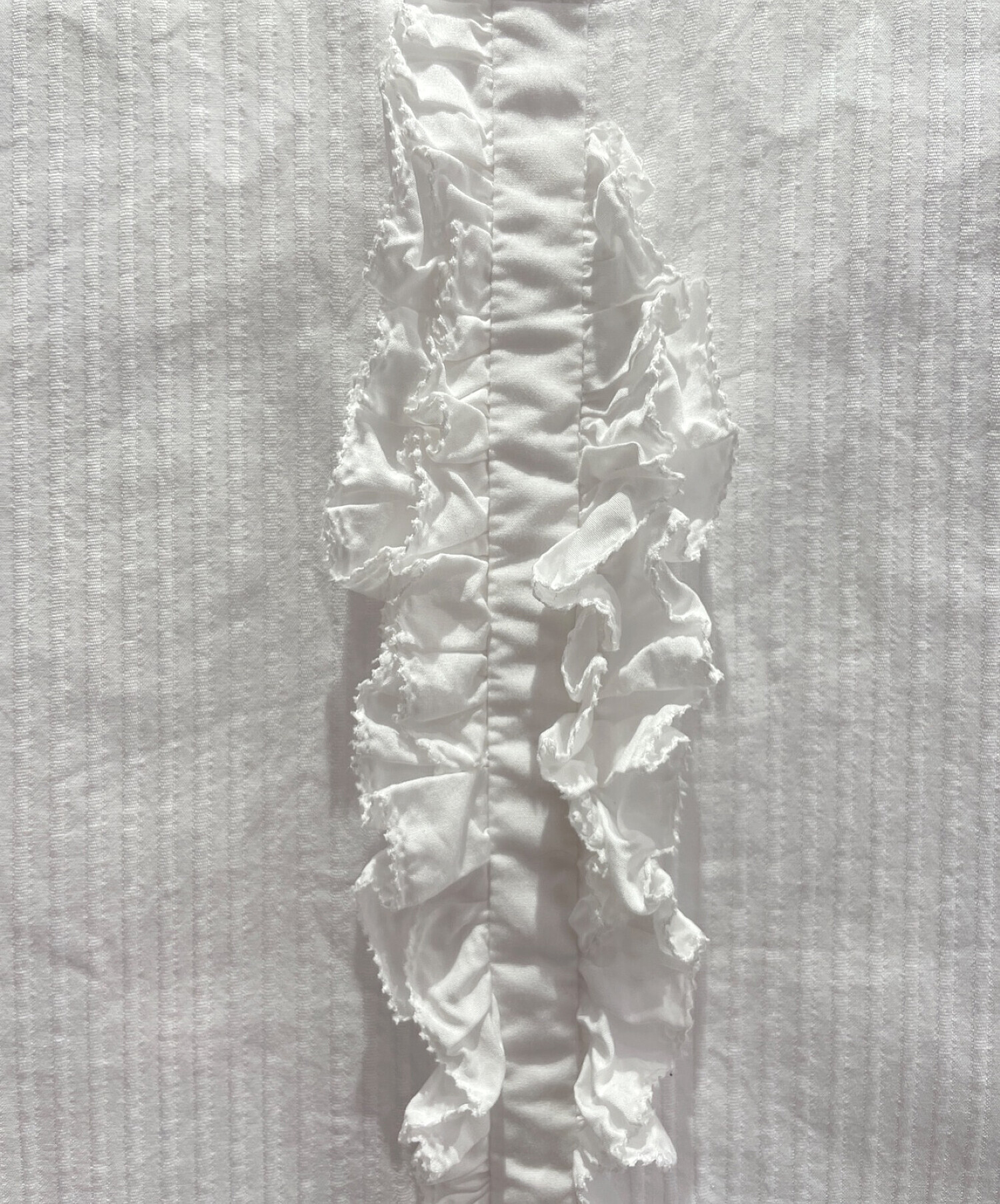 Drawer 近年 コットンフリルバックリボンノーカラーブラウス ドゥロワー Drawer 近年 コットンフリルバックリボンノーカラーブラウス