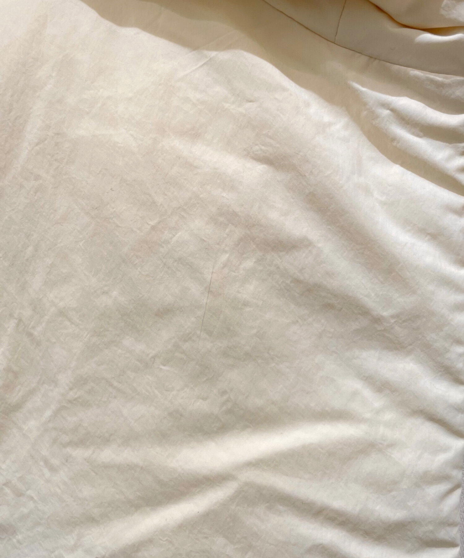 中古・古着通販】JIL SANDER+ (ジルサンダープラス) フーデッド 