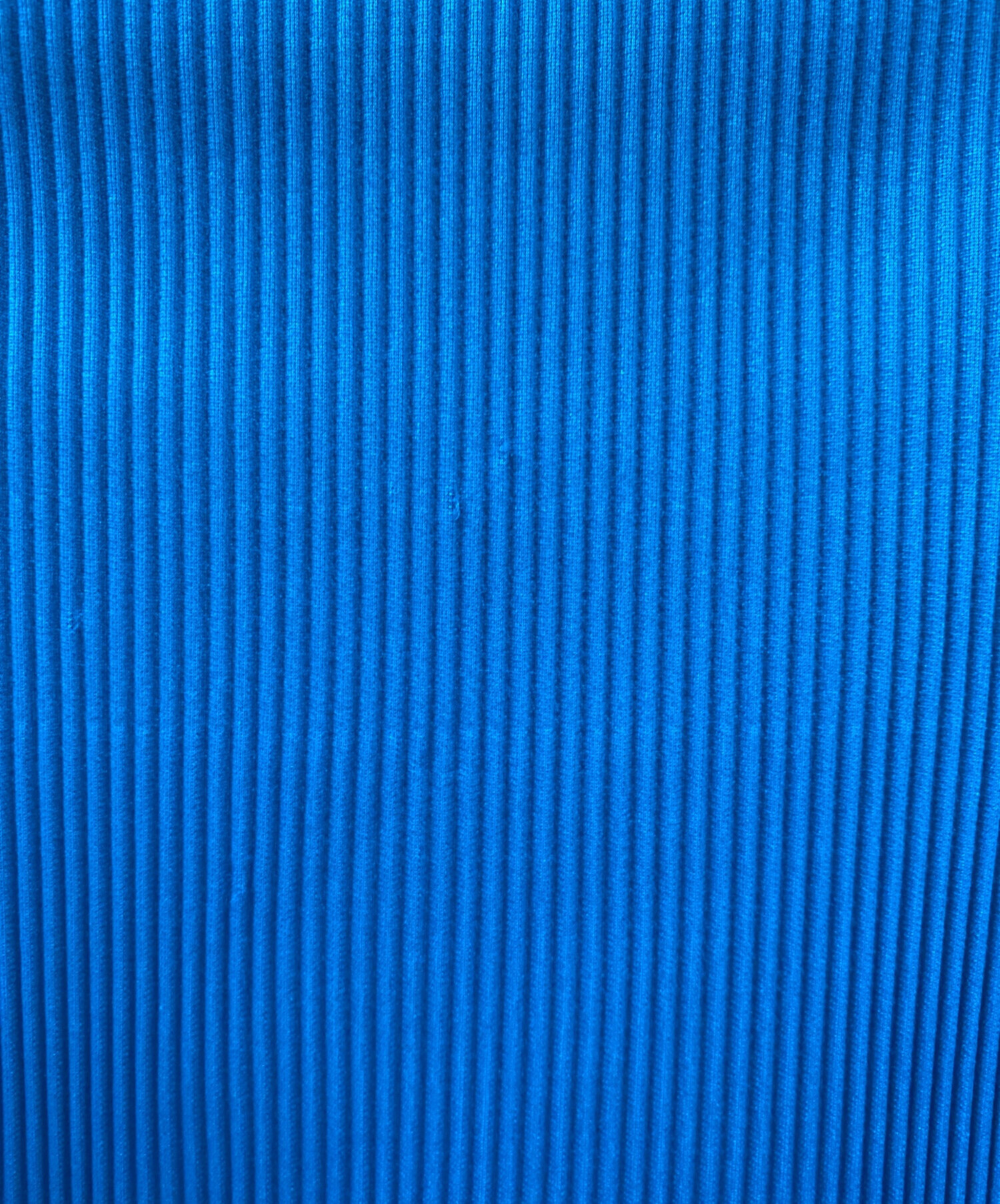 中古・古着通販】PLEATS PLEASE (プリーツプリーズ) プリーツ