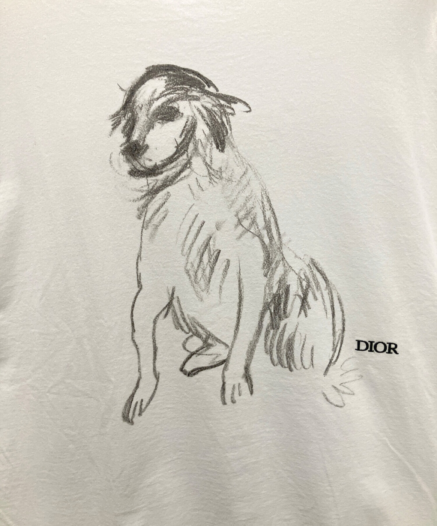 中古・古着通販】DIOR HOMME (ディオール オム) Duncan Grant