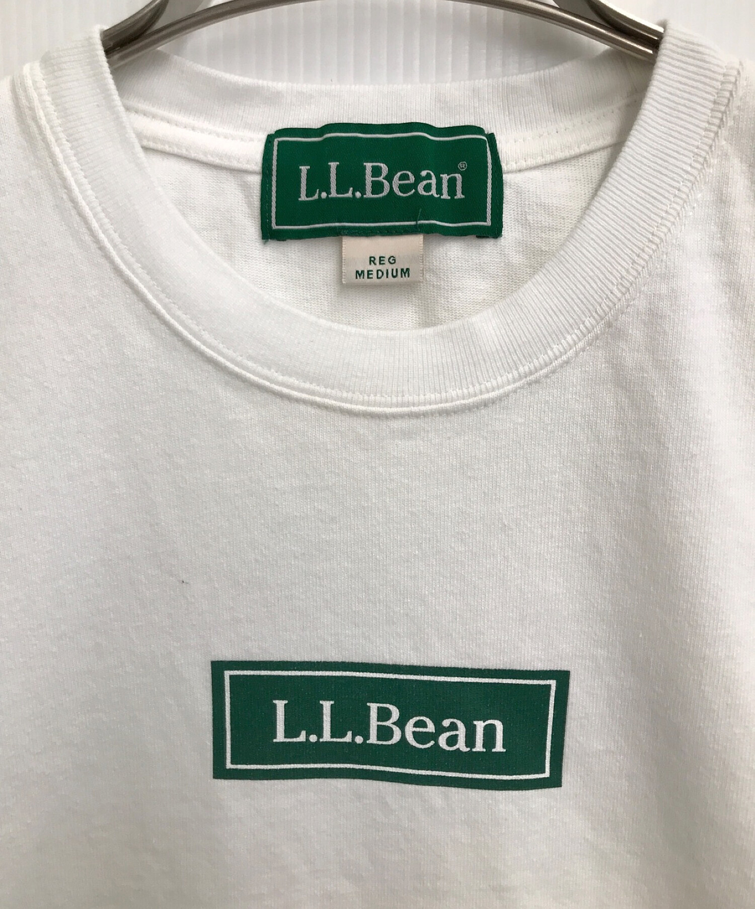 L.L.Bean×BEAMS Bean's GreenLabel Print-TbirchBeagleサイズ