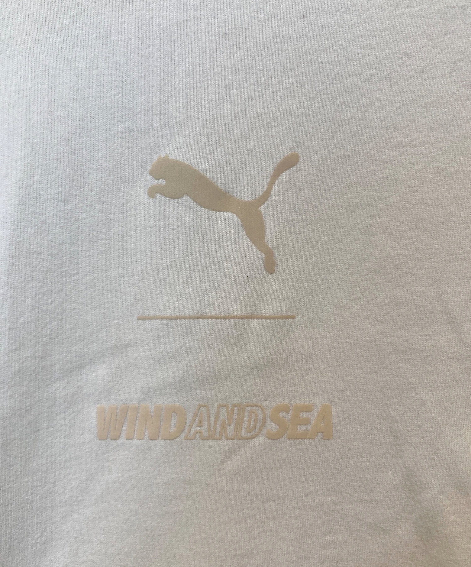 wind and sea × puma ロンT  XL