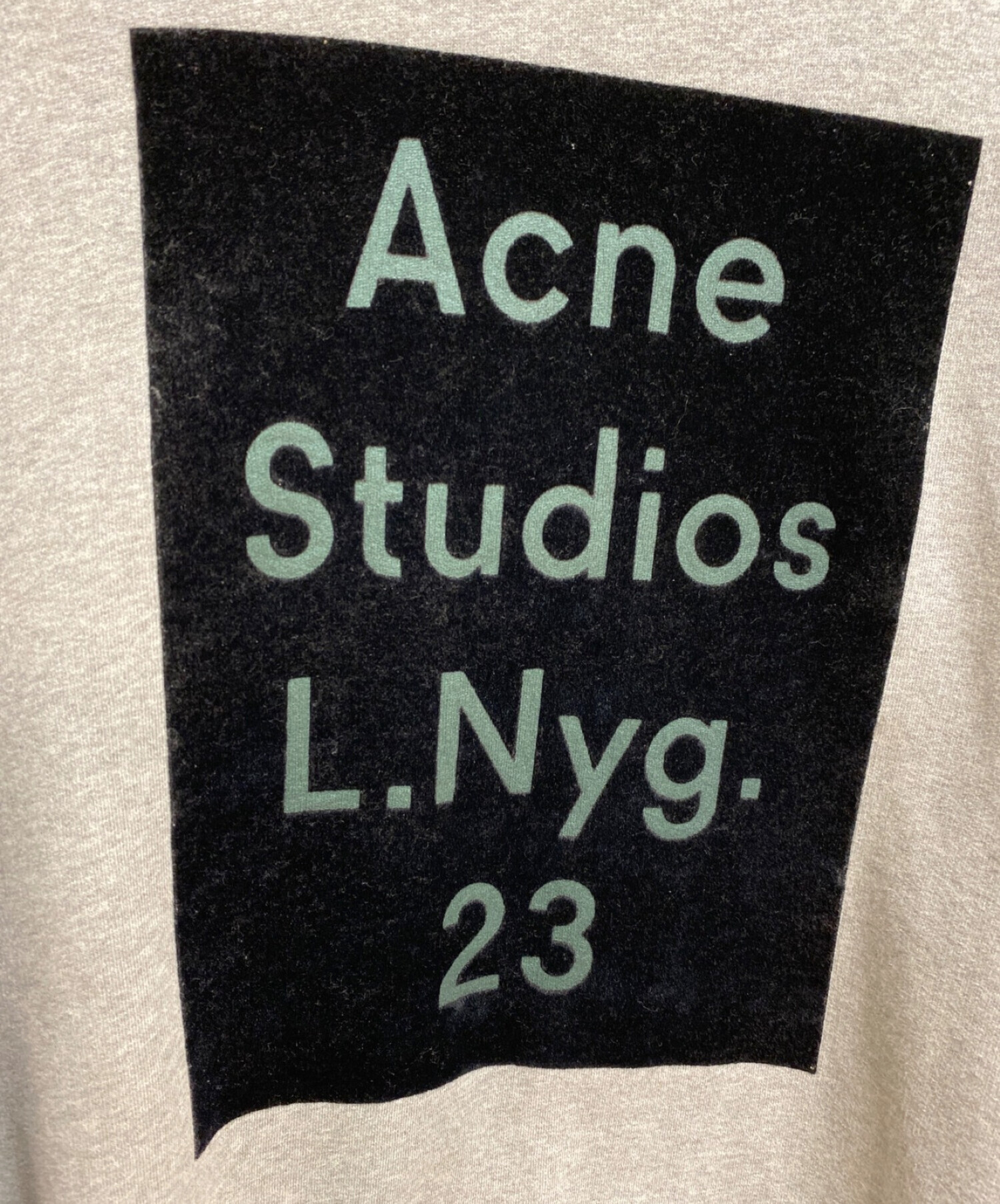 acne studios beta flock sweat